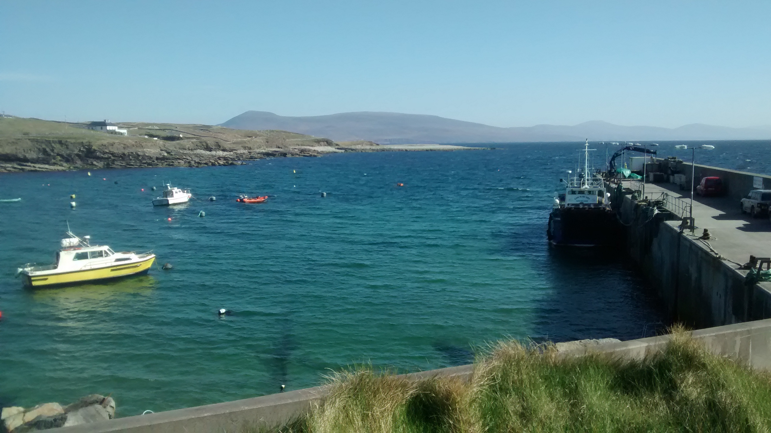 Boats in the dock waiting to take me home